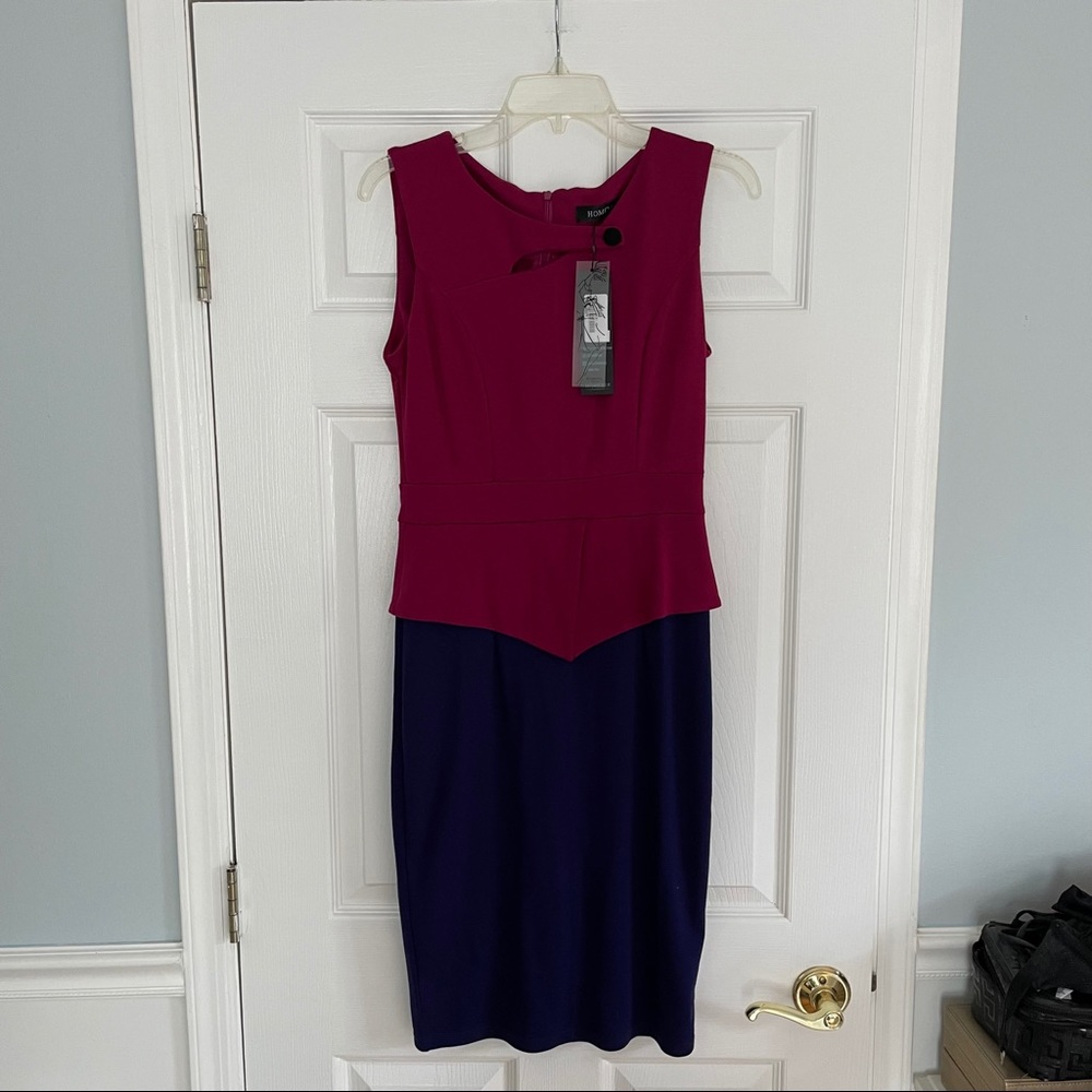 NWT Homeyee Two-Colored Dress